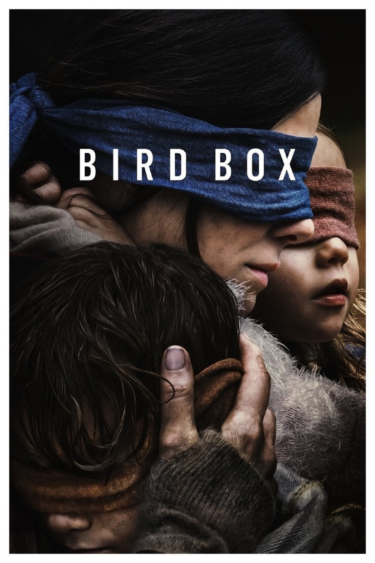 birdbox recensione