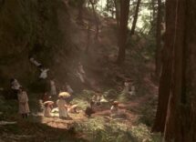 picnicad hanging rock