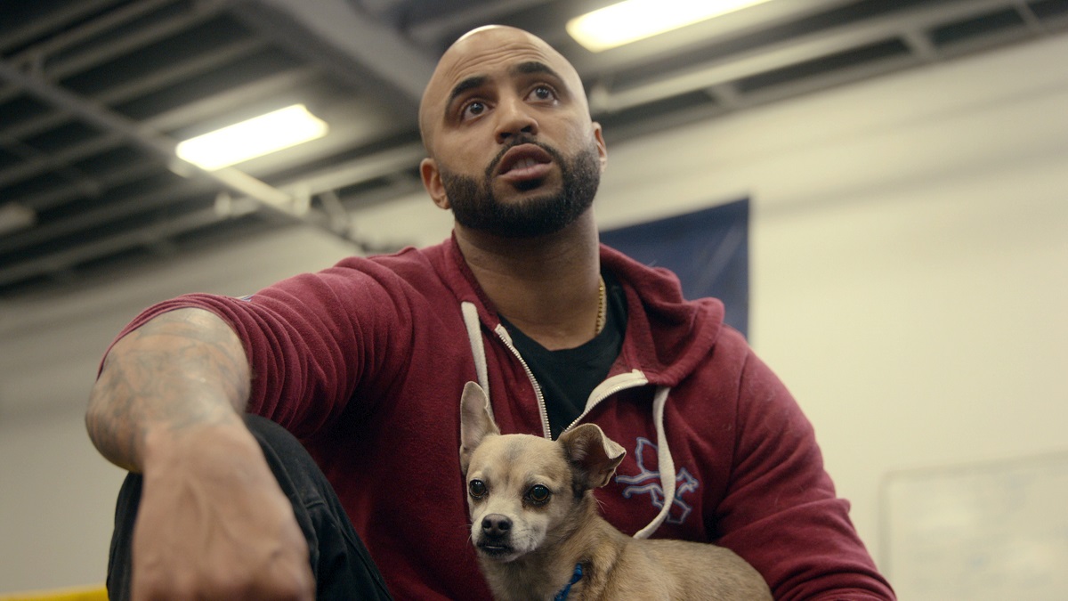 dog trainer scuola per cani