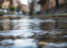 Copertina del libro 'Amor' di Virginia Eleuteri Serpieri