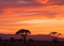 1216x832 20 09 30 38 490530631