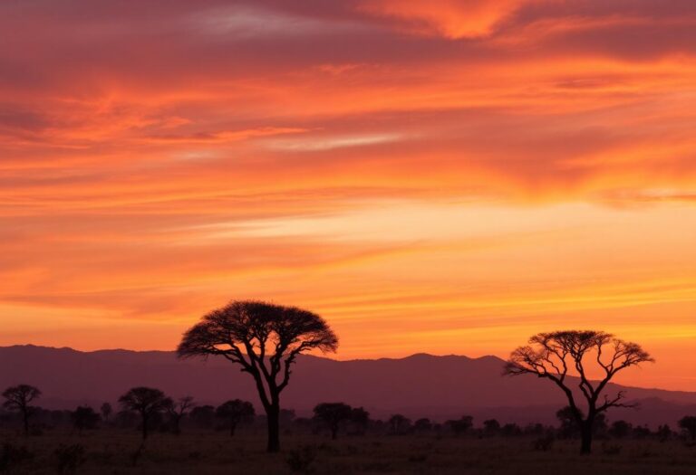 1216x832 20 09 30 38 490530631