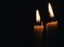 pexels oandremoura 2563040