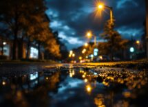 Ross Ulbricht e il futuro di Silk Road