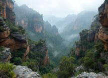Immagine evocativa di Picnic at Hanging Rock
