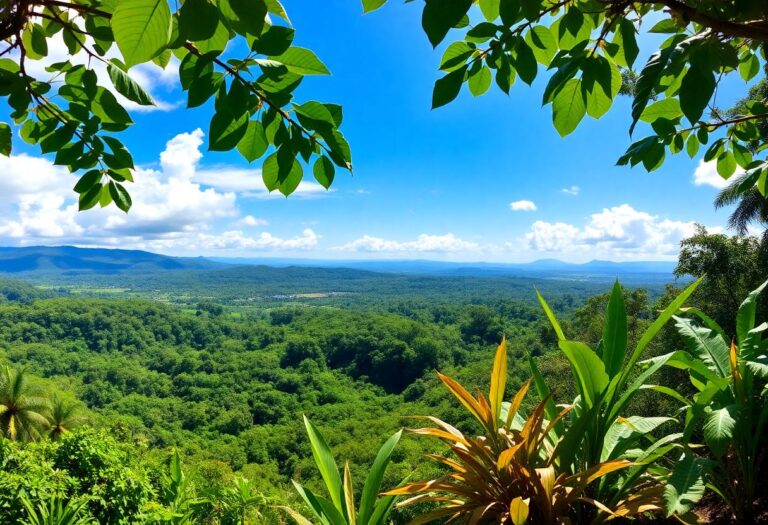 1216x832 27 05 35 18 472956357