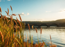 esplorando le storie nascoste del fiume reno 1751558178