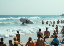 linfluenza di lo squalo sulla cultura cinematografica moderna python 1756736435