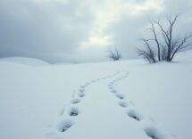 il grande silenzio linquietante realismo di un western senza eroi 1764388307