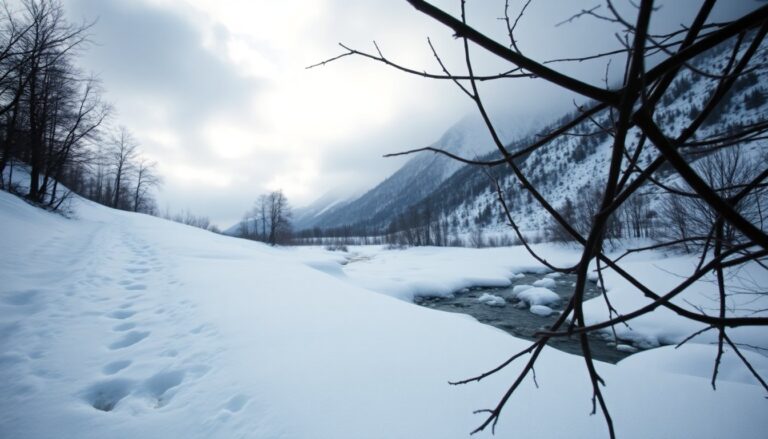 il revenant successo globale su hbo max e prospettive future per tom hardy 1762544236