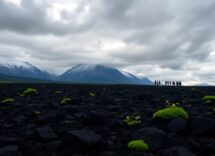 sequel di game of thrones nuove storie in arrivo da hbo 1763737796