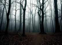 linfluenza del blair witch project sul cinema contemporaneo unanalisi approfondita 1765429848